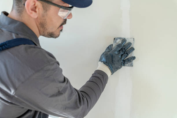 Best Indoor Air Quality Assessment  in Wedgefield, FL