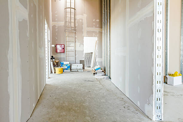 Best Post-Construction Mold Inspection  in Wedgefield, FL